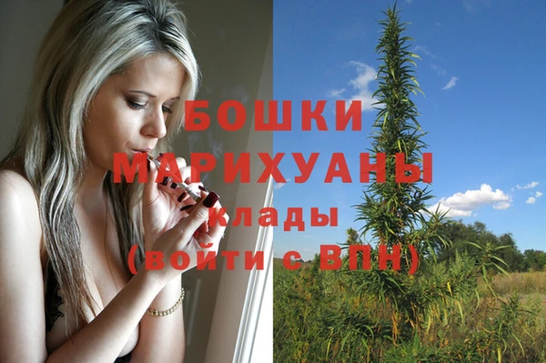 спайс Карпинск