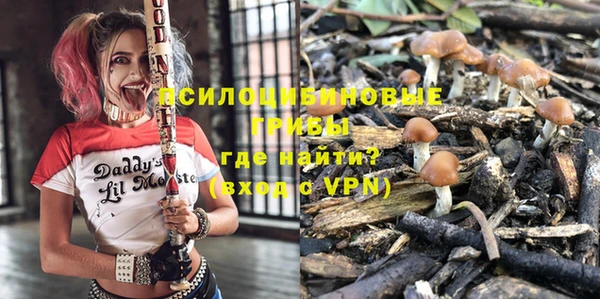спайс Карпинск