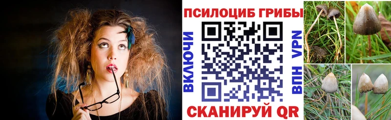 Псилоцибиновые грибы Psilocybine cubensis  Купить  Суоярви 